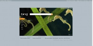 Home Page di Bing